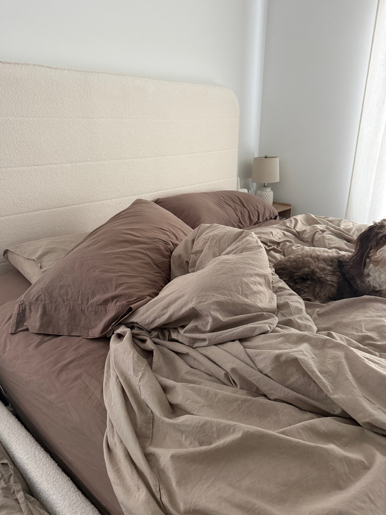 Sleeping on a cloud… or maybe a marshmallow ☁️🤍 Quite literally the best sleep I’ve gotten in years, all thanks to my new bedding from Amazon. As a total creature of habit, I was a little nervous about switching everything out—but now I can’t imagine sleeping without it.

#LTKHome