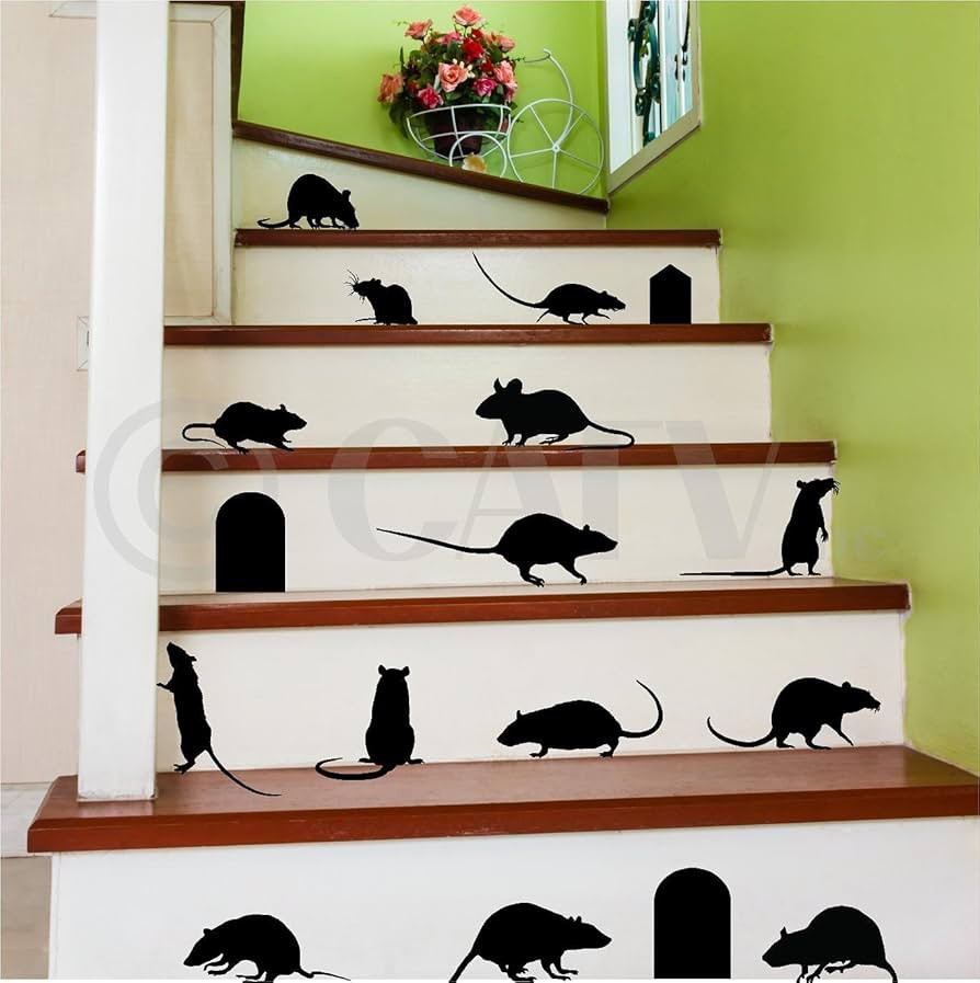 Rats Mice Doors Set of 17 vinyl lettering decal home decor wall art saying halloween | Amazon (US)
