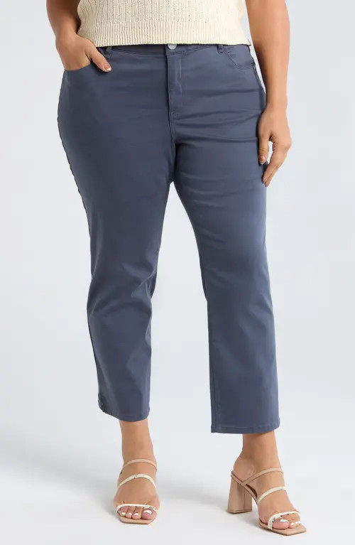 Wit & Wisdom 'Ab'Solution High Waist Ankle Straight Leg Pants in Shadow at Nordstrom, Size 16W | Nordstrom