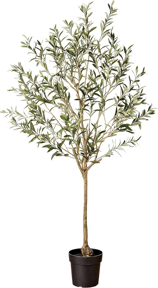 Amazon Brand - Stone & Beam Artificial Olive Tree with Plastic Nursery Pot, 5.6 Feet (67.5 Inches... | Amazon (US)