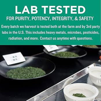 Jade Leaf Matcha Organic Green Tea Powder, Culinary Grade Premium Second Harvest - Authentically ... | Amazon (US)