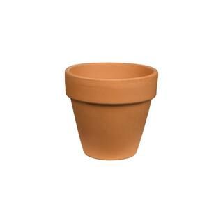 Pennington 6 in. Small Terra Cotta Clay Pot-100043013 - The Home Depot | The Home Depot