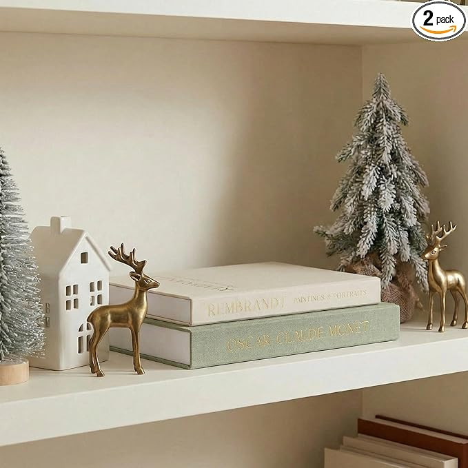 Beautiful Decorative Books - Set of 2 Linen Boxes Enhance Your Coffee Table, Bookshelf or Mantel ... | Amazon (US)