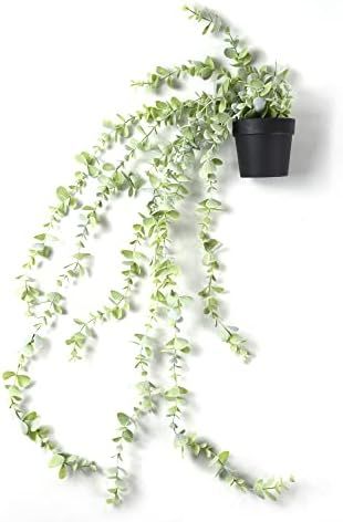 MARTHA&IVAN Fake Plants Artificial Hanging Plants Trailing Potted Plants Indoor (Hanging Eucalypt... | Amazon (CA)