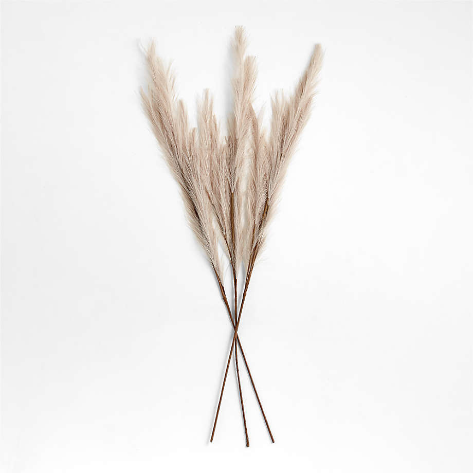 Faux Taupe Pampas Grass Bunch 45" | Crate & Barrel | Crate & Barrel