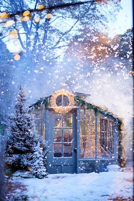 Stargazer Illuminated LED Vine Wreath | Terrain