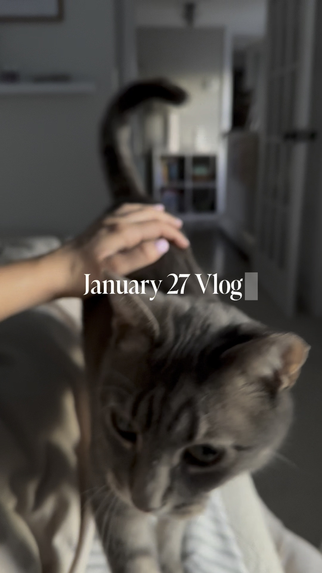 Todays vlog!! 
Hope you’ve all had a great Monday! 

#LTKWatchNow #LTKFindsUnder100 #LTKFindsUnder50