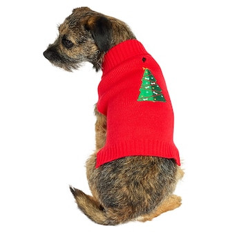 Heart & Herd Red Christmas Tree Dog Pet Sweater Medium Lowes.com | Lowe's
