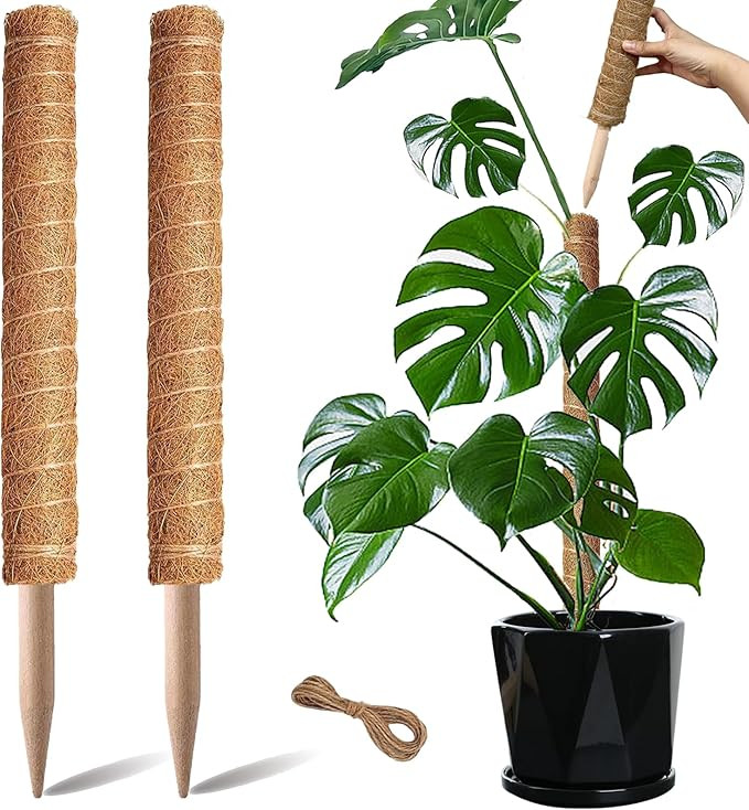 Moss Pole, 2 Pack 17 Inch Monstera Plant Support for Climbing Plants Accessories Indoor, Stackabl... | Amazon (US)