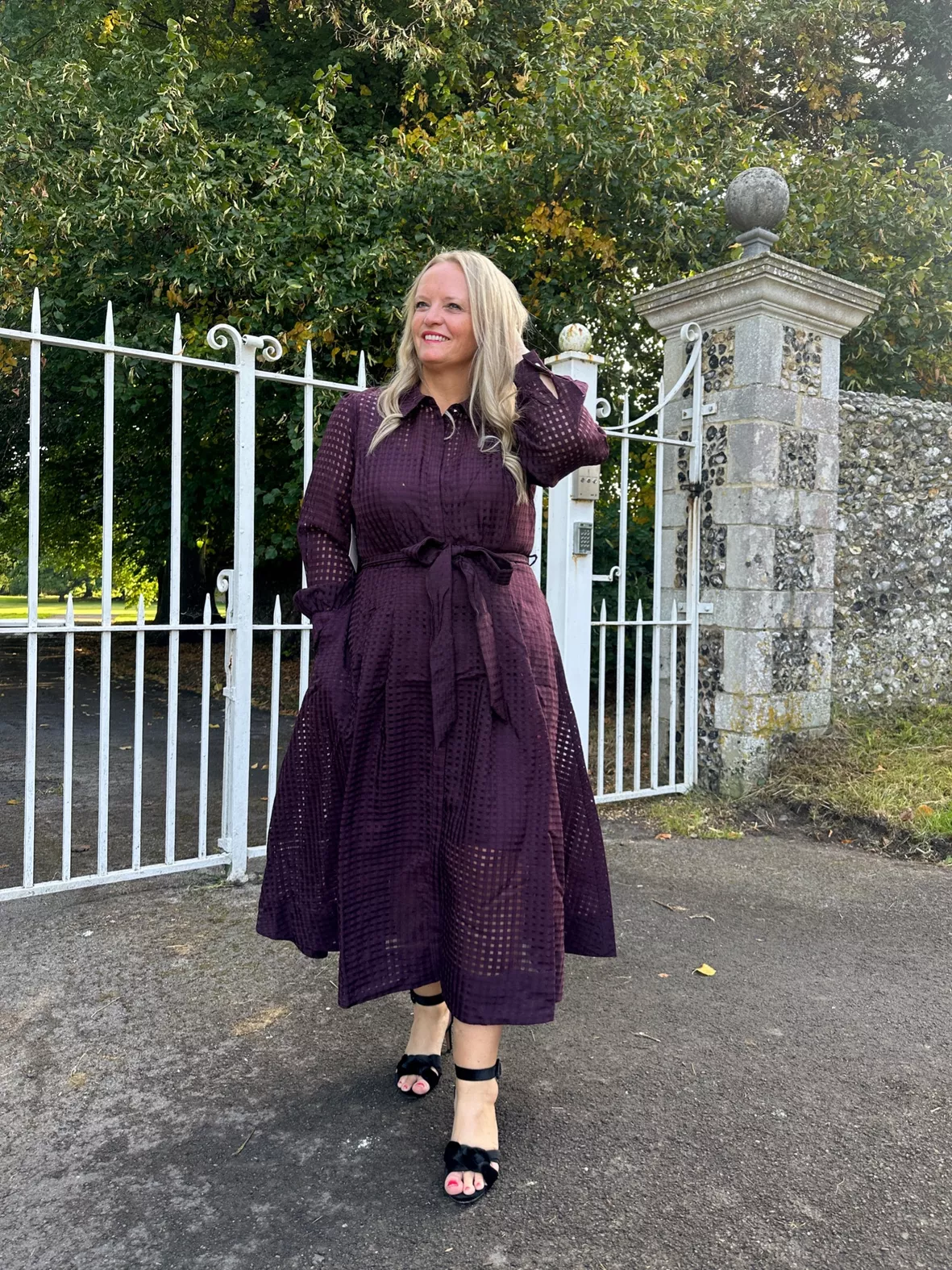 Phase Eight Natalie Purple Shirt Dress Phase Eight Natalie Purple Shirt Dress