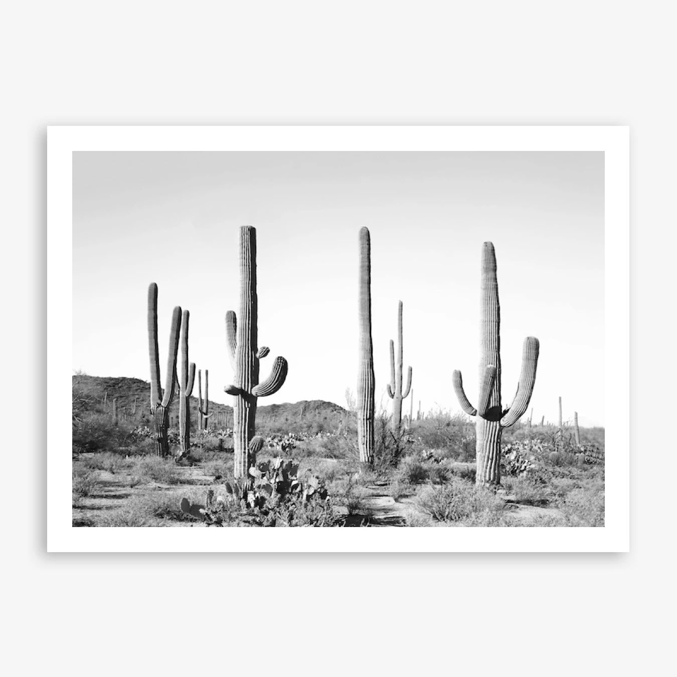 Cactus Land Art Print | Fy! (UK)