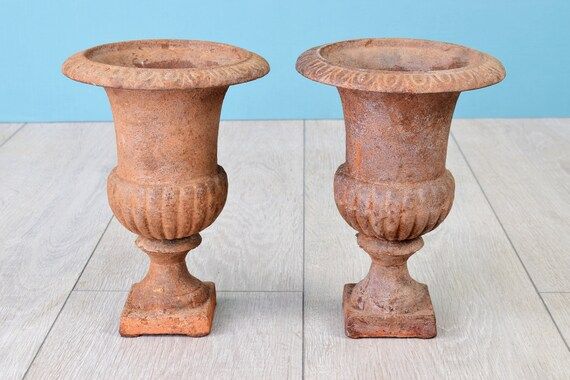 Pair of French Antique Medici Urns. Rustic Garden Vases or Planters in Weathered and Rusty Cast I... | Etsy (US)