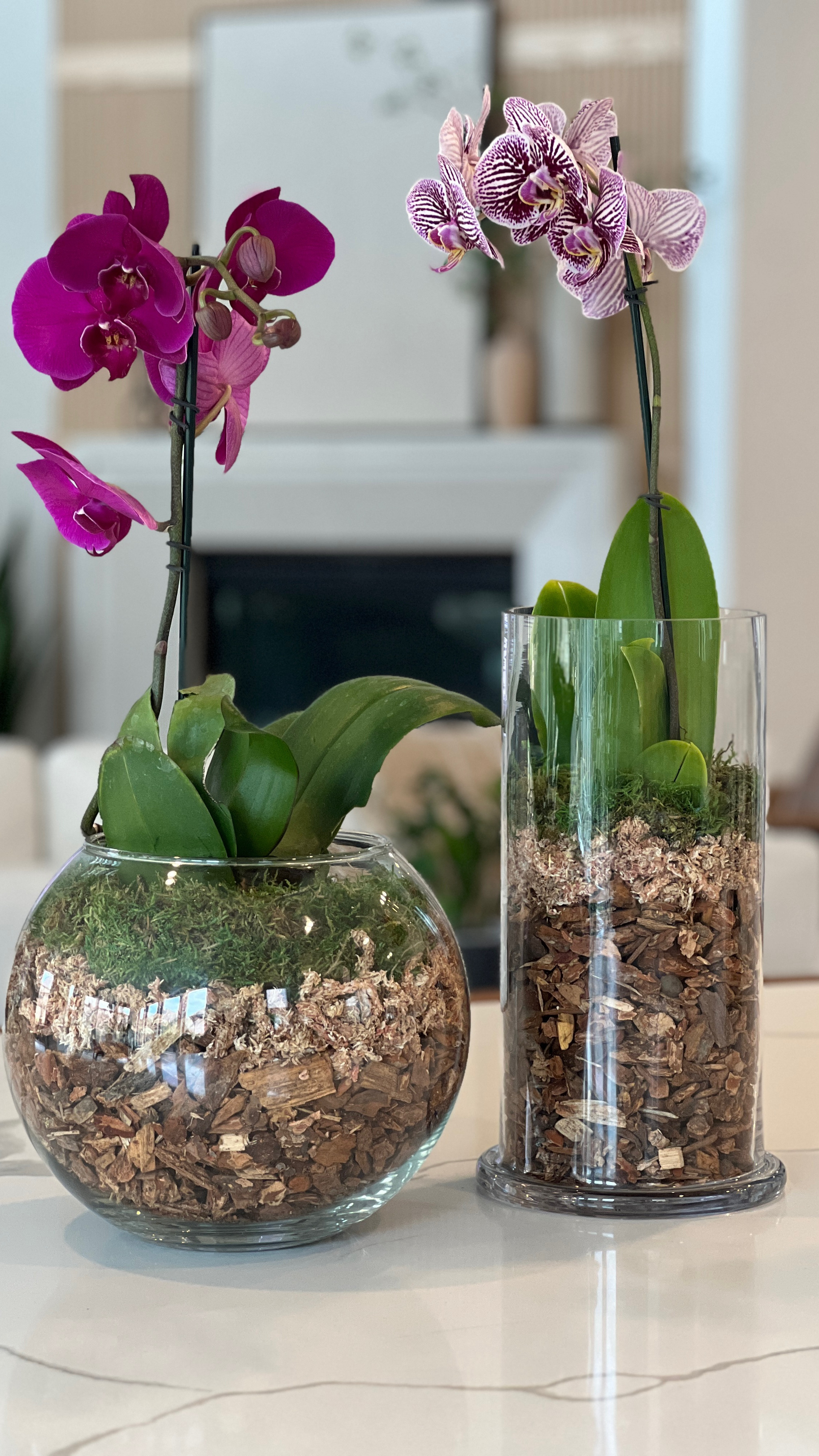 Orchids for your Easter centerpiece?  Let’s elevate them!
#diyflorals 

#LTKWatchNow #LTKHome #LTKSeasonal