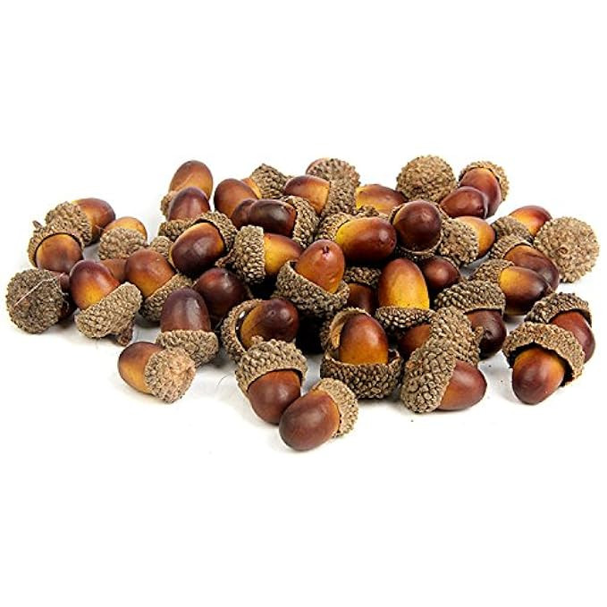 YHMALL 100pcs Artificial Lifelike Simulation Small Acorn Set Decoration Fake Model Craft Material Ho | Amazon (US)