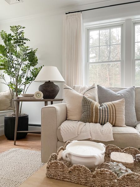 Coastal living room, throw pillows, Amazon curtains, side table, lamp, faux tree, coffee table decor, spring decor 

#LTKfindsunder50 #LTKhome #LTKstyletip