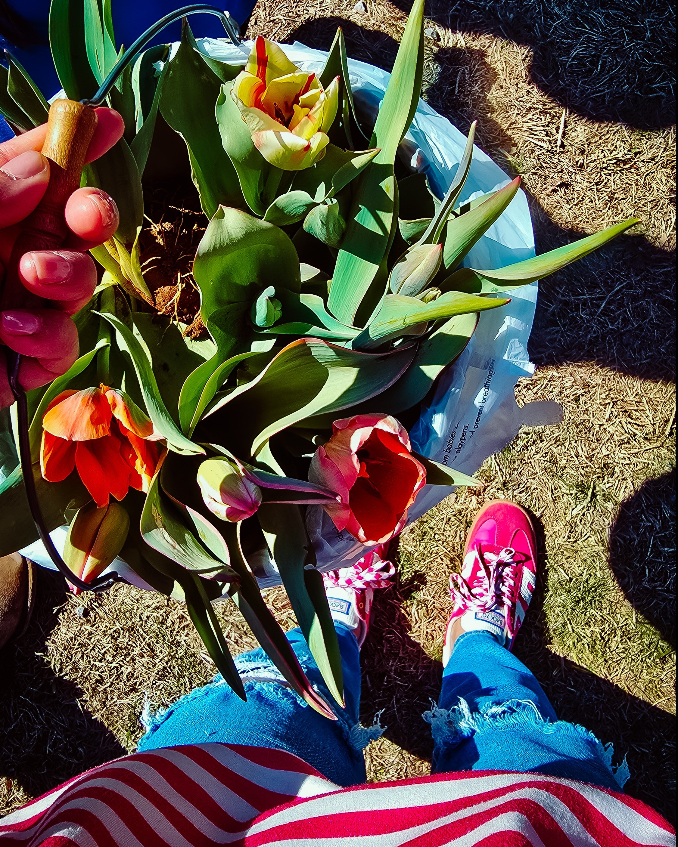 Colorful sneakers im obsessing this spring.  Tts 

#LTKShoeCrush #LTKActive #LTKStyleTip