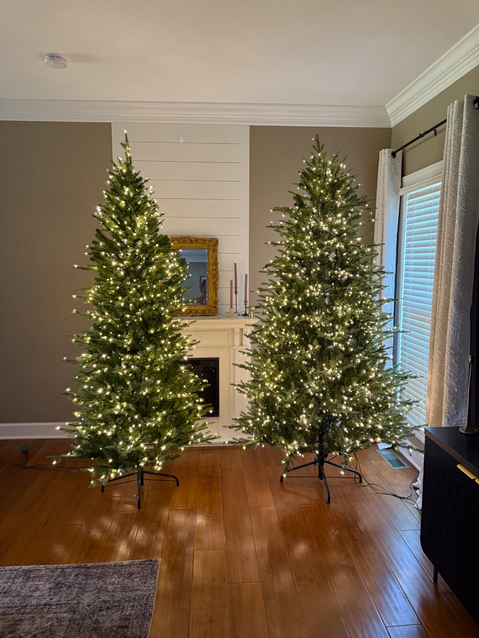 Grand Duchess Balsam Fir from Home Depot 7.5 ft full size (from 2023) vs 7.5 ft slim (2025). Let me know if you have any questions! 

#LTKSeasonal #LTKHome