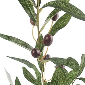 JAROWN Artificial Olive Branch Stems 5pcs 28 Inch | Amazon (US)