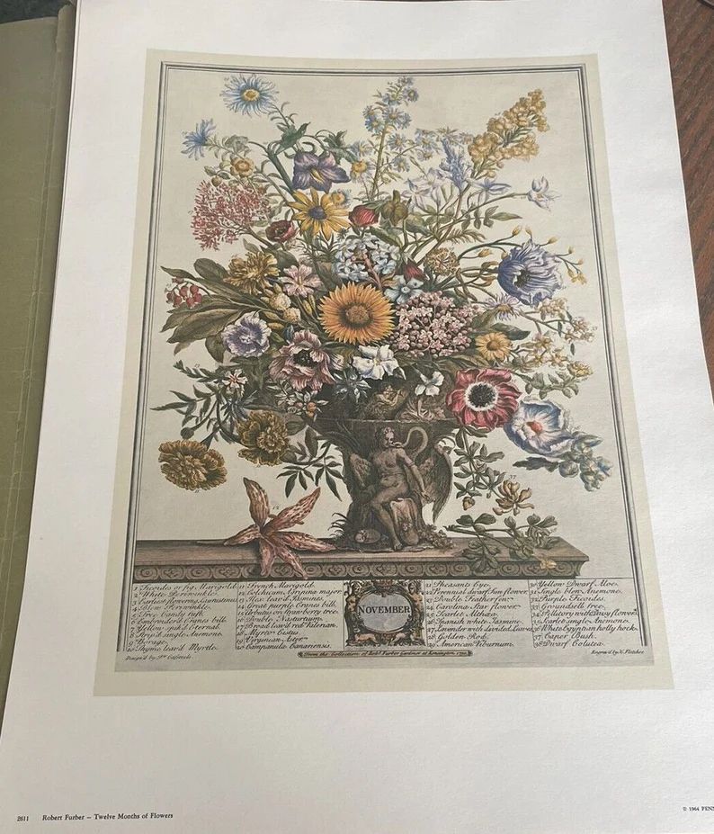 Large Vintage November Flowers Art Print, Botanical Illustration, 12 Months of Flowers Furber Fle... | Etsy (US)