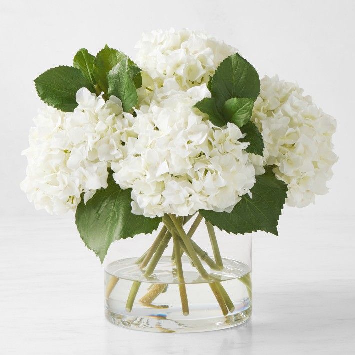 Faux White Hydrangea Arrangement in Glass Vase | Williams-Sonoma