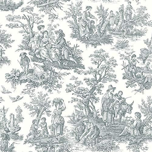 Waverly RMK11869WP Country Life Toile Peel and Stick Wallpaper (20.5 in x 16.5 ft) – Easy Applicatio | Amazon (US)