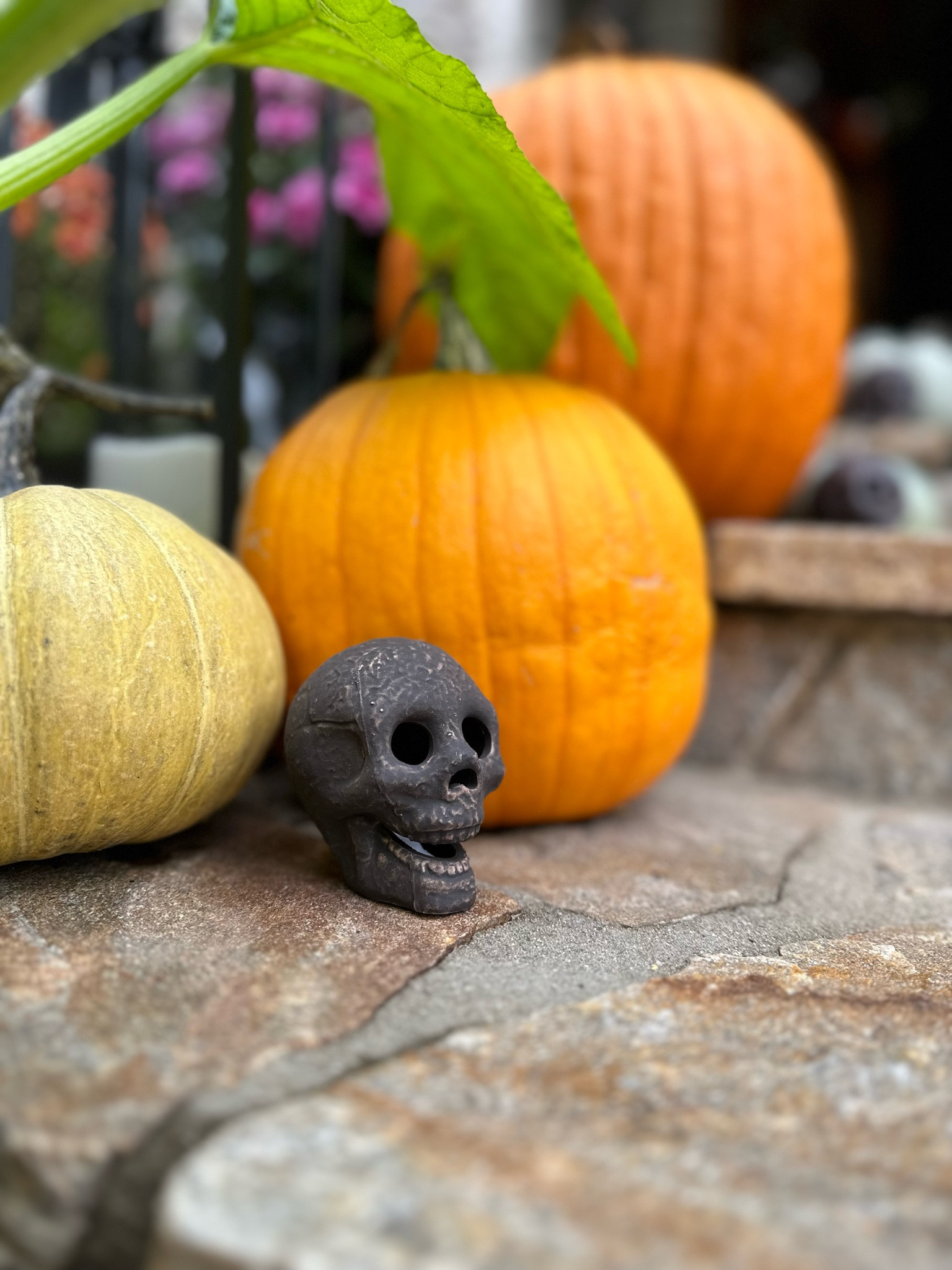 Day to night Halloween decir 

#LTKSeasonal #LTKHalloween #LTKhome