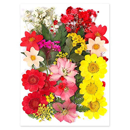 Augshy Dried Pressed Flowers, Natural Resin Flowers, Real Mixed Color Pressed Flowers, Colorful Dry Flowers for Resin Jewelry Nail Art Craft DIY | Amazon (US)