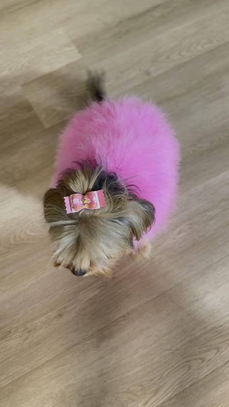 Furry dog sweater 
Pink feather sweater 
Christian Cowan maxbone 
Yorkie 
Valentines puppy 

#LTKfamily #LTKhome #LTKkids
