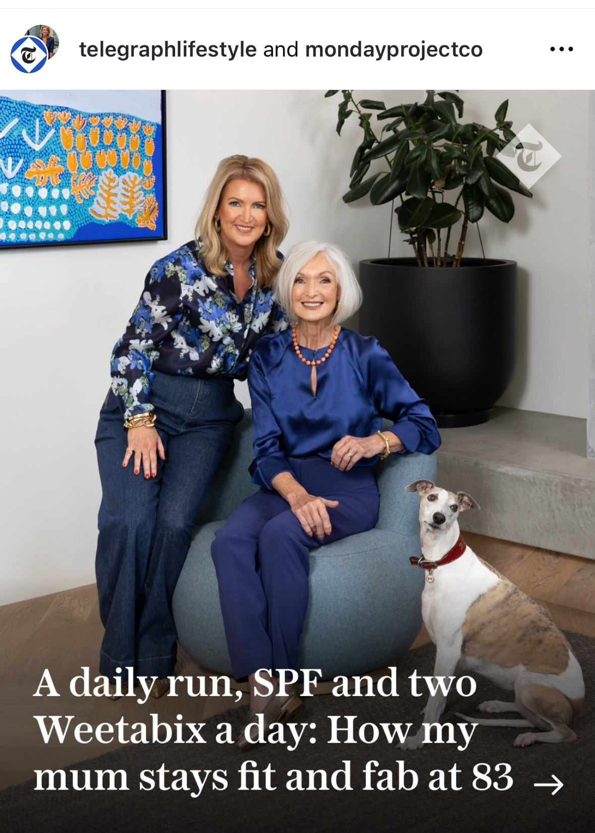 We wore these beautiful Perri Cutten tops in a recent feature in the UK Telegraph 

#LTKOver40 #LTKWorkwear #LTKSeasonal