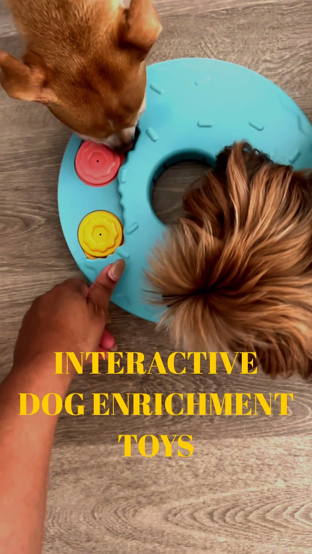 Interactive Dog Enrichment Toys from Amazon

Scroll to shop. 

LTKPet

#LTKActive #LTKHome
