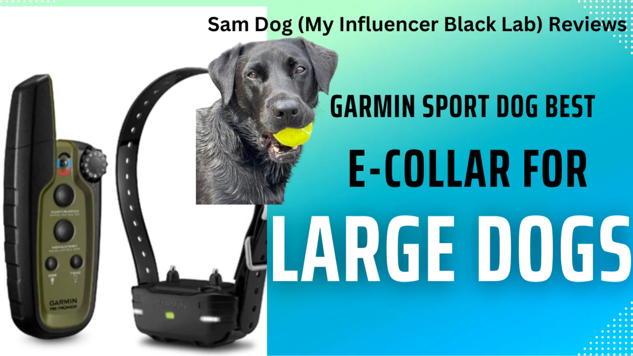 The BEST e-collar for Large Dogs 

#LTKActive #LTKGiftGuide