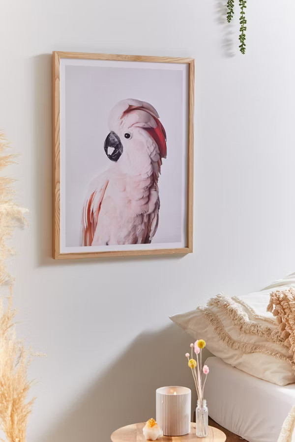 Sisi And Seb Pink Cockatoo Art Print | Urban Outfitters (US and RoW)