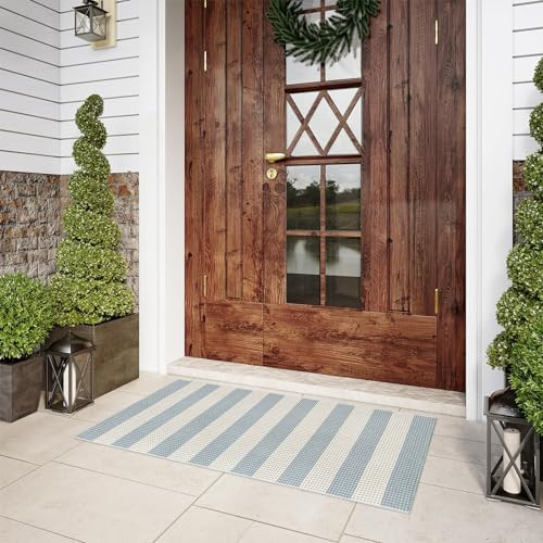 LEEVAN Outdoor Porch Rug 2x4, Washable Front Door Mat, Spring Plaid Welcome Mat Outside Entrance, Blue and White Striped Outdoor Entryway Rug, Farmhouse Buffalo Porch Layered Doormats Entry | Amazon (US)