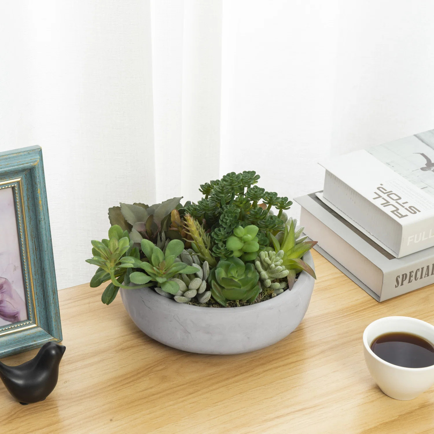 Benita 7'' Faux Succulent Plant in Cement Pot | Wayfair North America