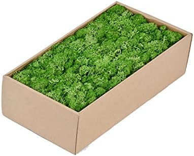 1.1lb Moss Preserved Artificial Moss Fake Moss Green Moss Reindeer Moss for Craft Arts Floral Pro... | Amazon (US)