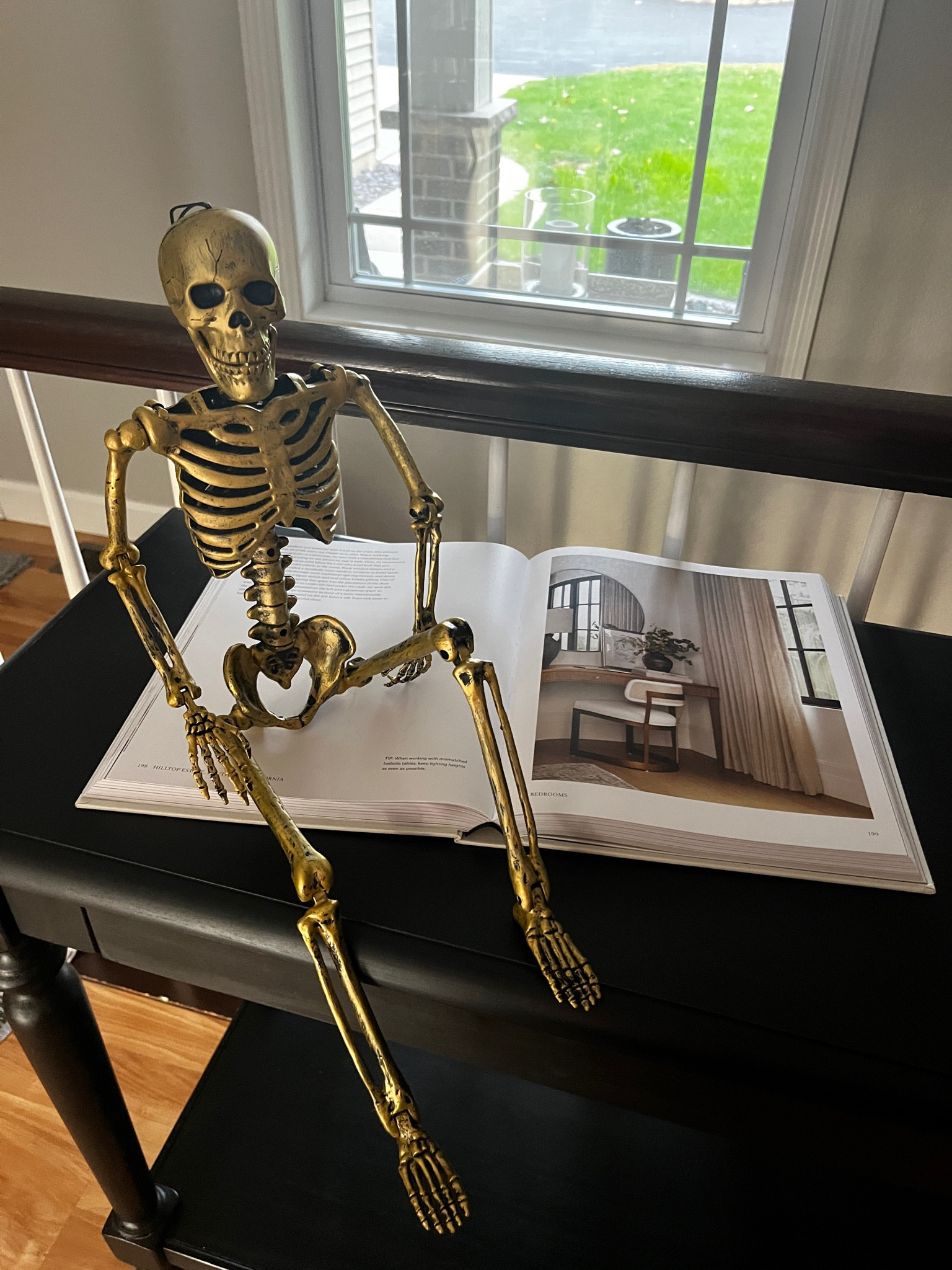 🧡🖤My new friend…and my new coffee table book!