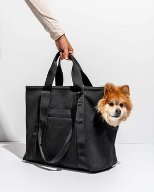 Everyday Pet Carrier Dog Tote | Wild One | Wild One