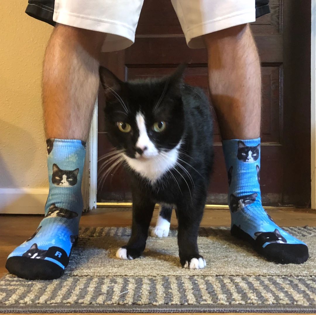 Customized Cat Socks - Put Your Cute Cat on Custom Socks, Cat Lovers, Cat GIft, Cute Cat Personal... | Etsy (US)