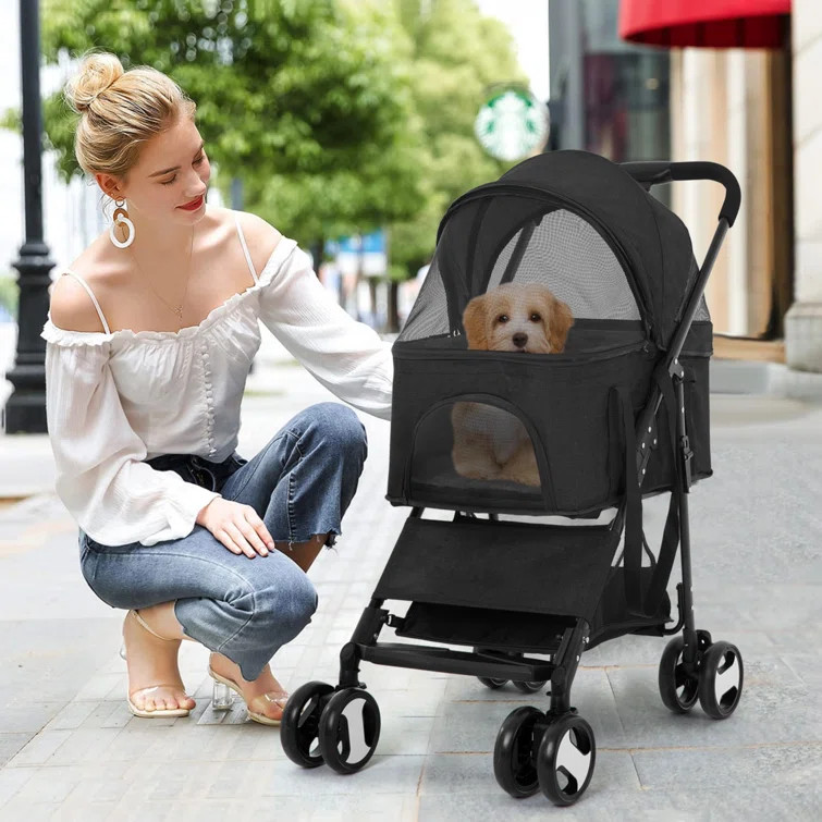 Folding Standard Stroller with Detachable Carrier | Wayfair North America
