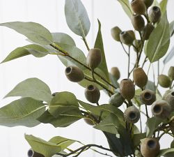 Faux Willow Eucalyptus Bundle | Pottery Barn (US)