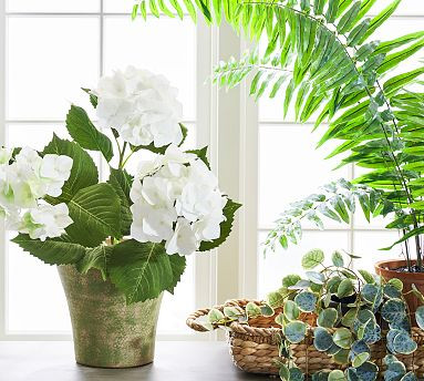 Faux White Hydrangea | Pottery Barn (US)