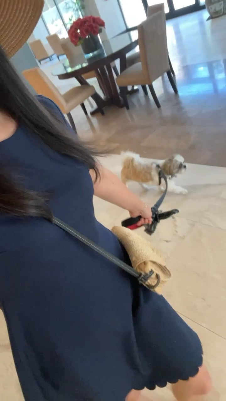 My favorite navy dress with scallop trim. I had this dress for years and last year I repurchased it on Poshmark in 4P since 0P became too snug for comfort. It washes well and I air dry/line dry. 

Size 4 and 00P linked from eBay. 

#LTKworkwear #LTKunder50 #LTKFind