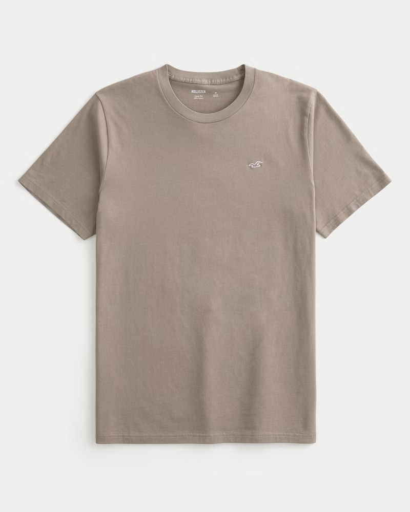 Icon Crew T-Shirt | Hollister (US)