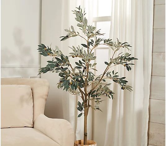5' Faux Olive Leaf Tree in Starter Pot by Valerie | QVC