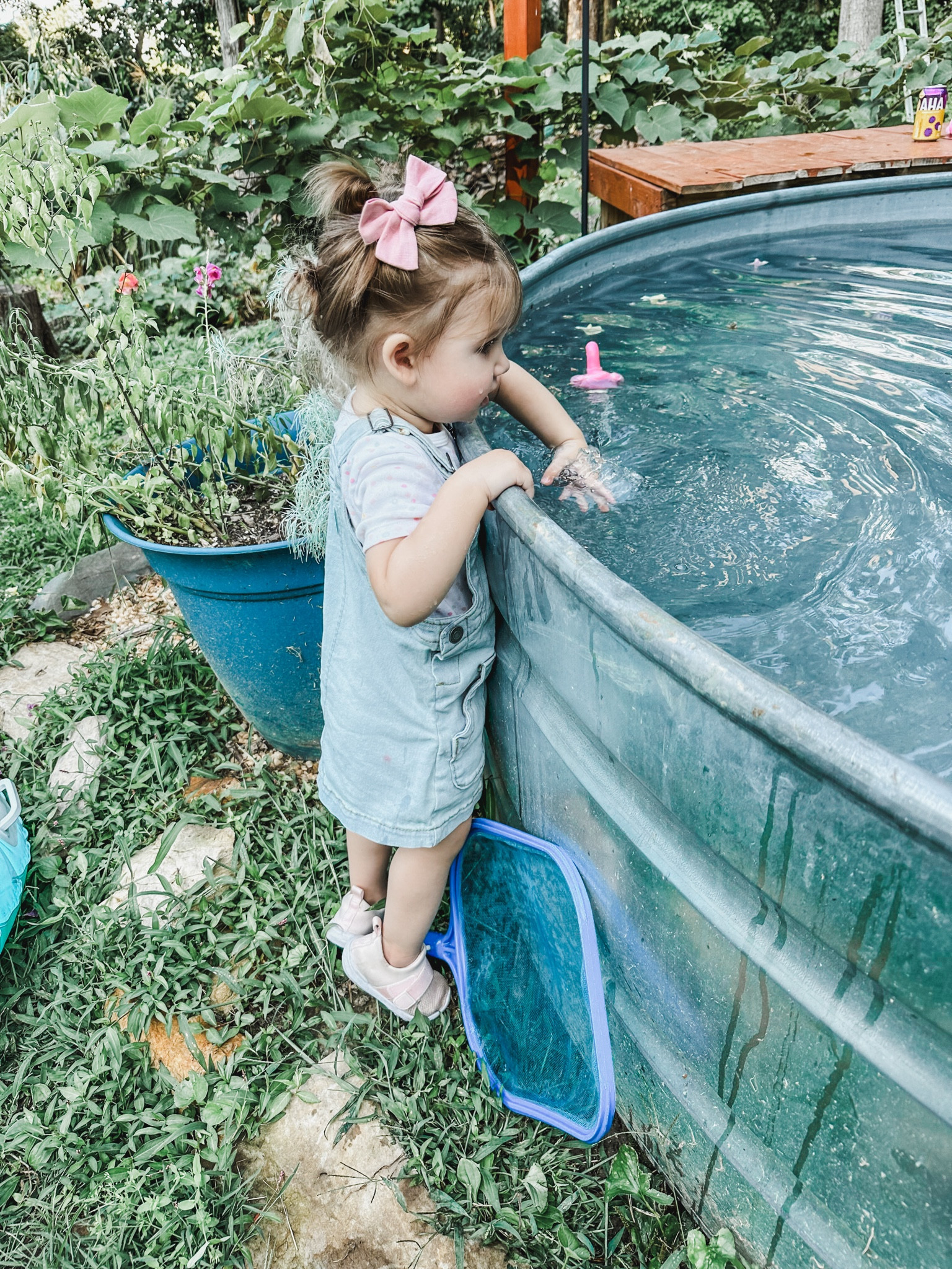 all of the end of summer feels for this little toddler with this adorable jean jumper dress, cute pigtails with bows and some super cute sneakers 

#LTKBacktoSchool #LTKkids #LTKSeasonal
