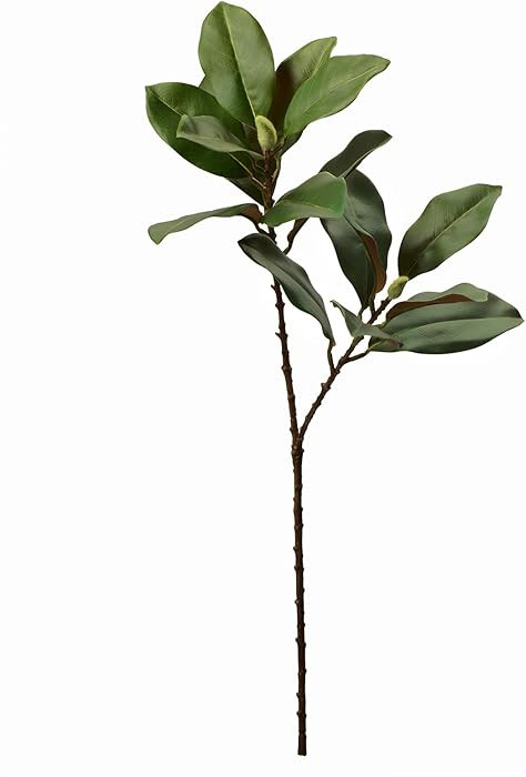 FlorisDecor 28'' Artificial Southern Magnolia Branches, Realistic Magnolia Tree Fork, Picks for H... | Amazon (US)