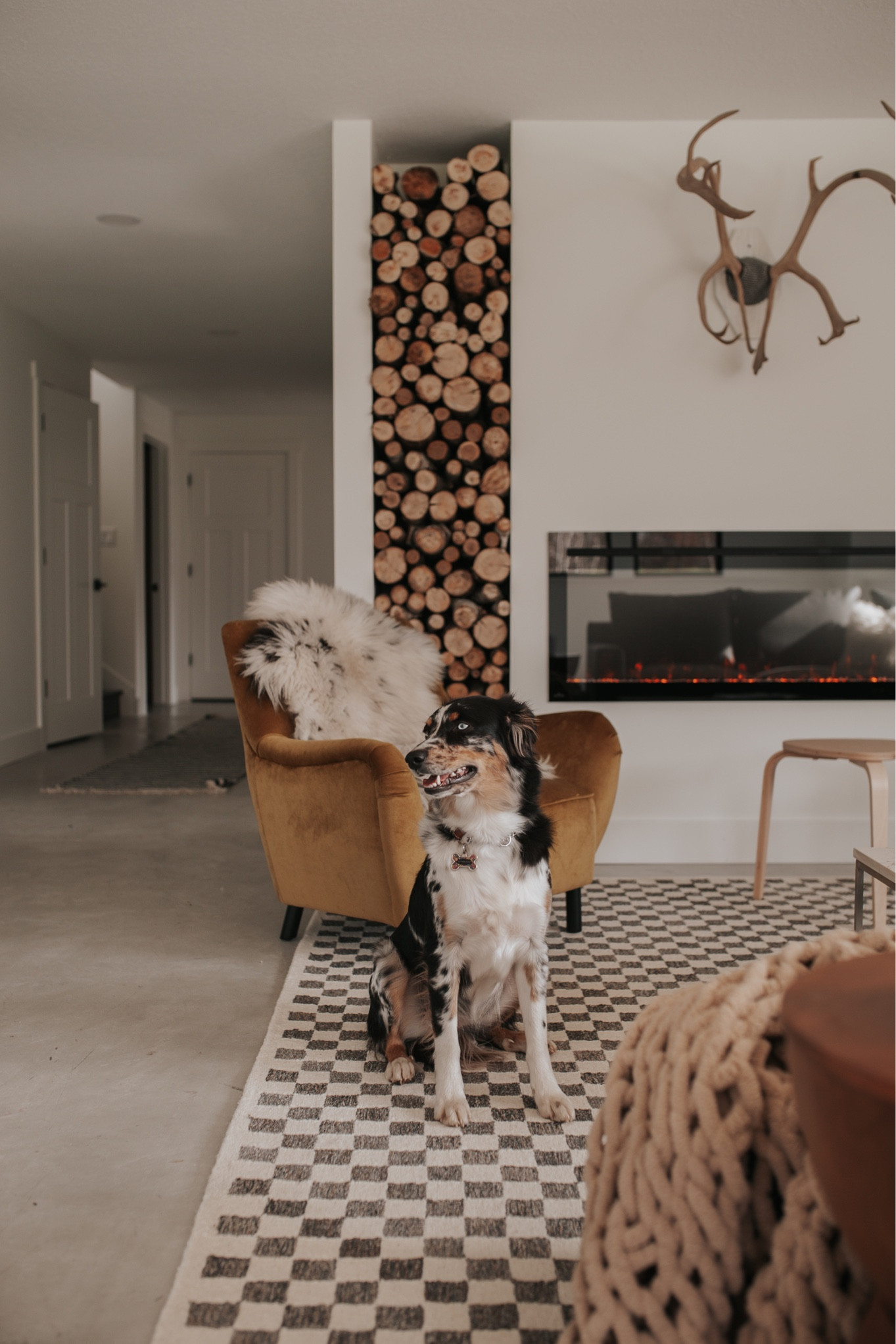 Living Room accent chair and area rug. Amazing high quality brand. 🖤
The rug is hand knotted and thick. Super good! 

#LTKhome
