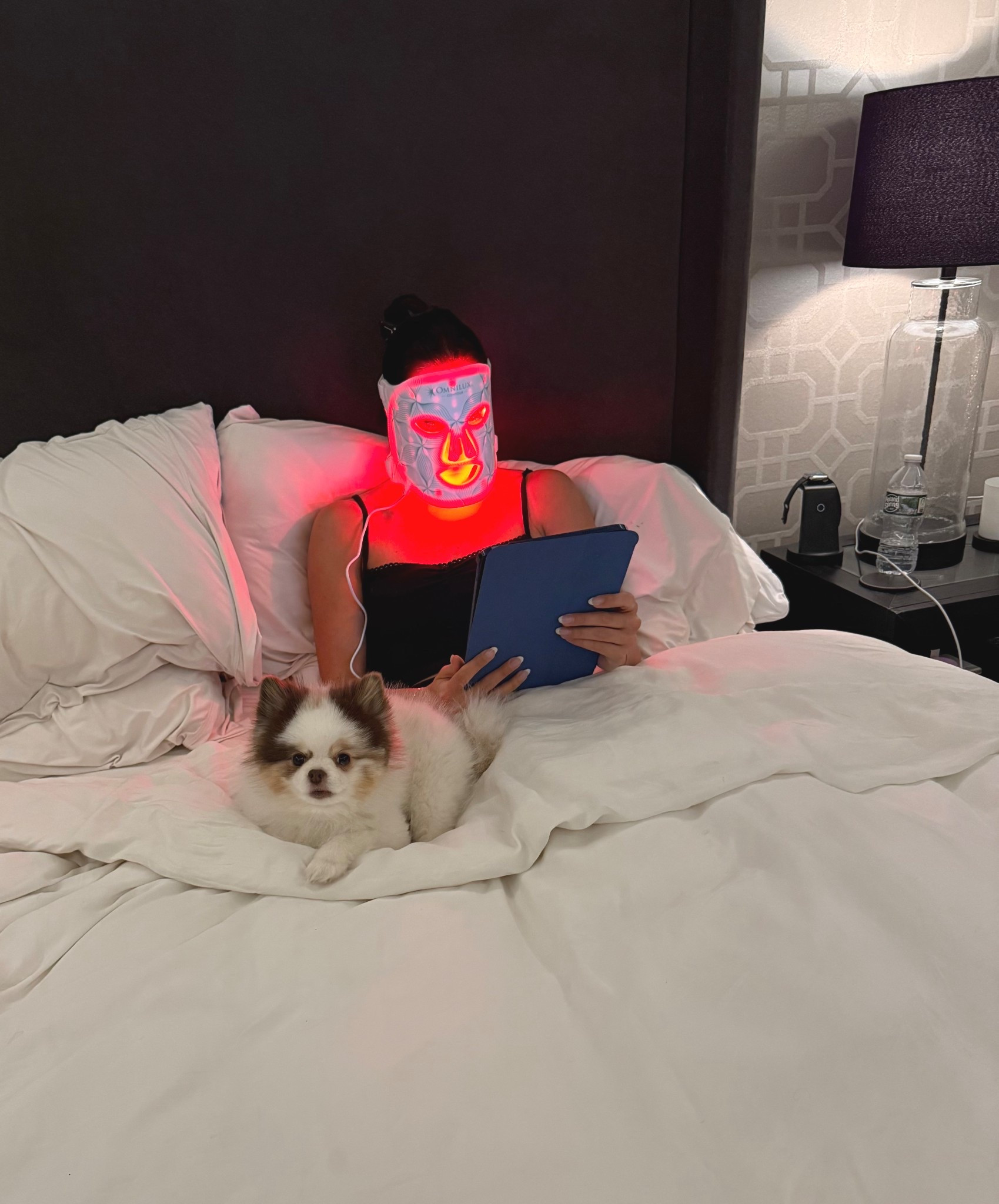 A new face routine staple, my red light therapy mask! 

#redlight #skincare #redlightherapy #skincareroutine #skincareproducts 

#LTKBeauty #LTKGiftGuide
