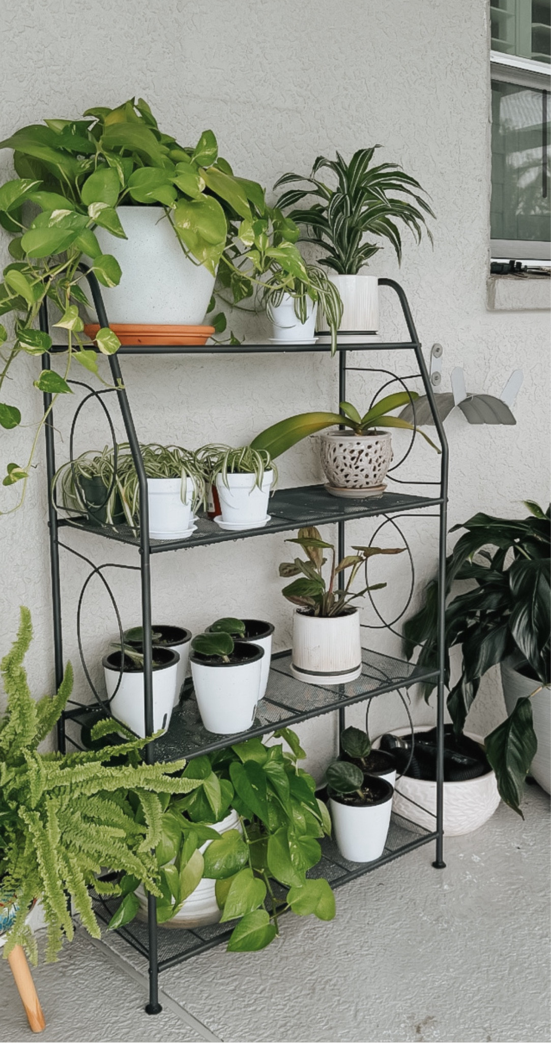 This looks so cute 🪴

#LTKSeasonal #LTKBeauty #LTKHome