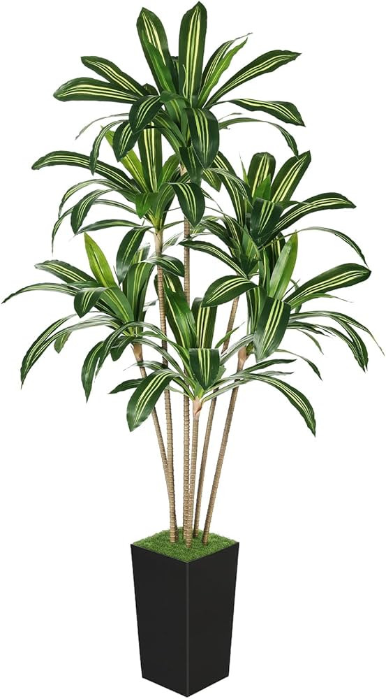 Artificial Dracaena Tree 6FT - Realistic Faux Plant with Black Tall Planter - Fake Tropical Yucca... | Amazon (US)
